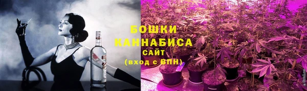 шишки Рославль